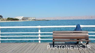 ملايين العزاب ينتظرون حلاً لمشكلة الإسكان / يحتاجون لبناء 14 مليون مسكن لحل مشكلة الزواج