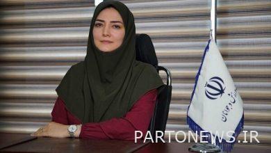 Failure to pay attention to financial resources in the population youth plan, the reason for not implementing the plan - Mehr News Agency |  Iran and world's news