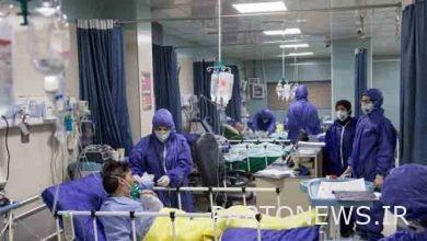 Corona death toll exceeds 120,000 / 272 other Kuwait patients killed 19