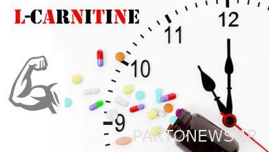 Is the best time to take L-carnitine before exercise or after exercise?