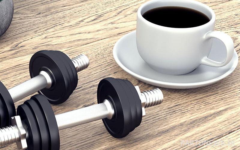 Top 7 l carnitine coffee weight loss