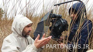 "Khonab" competition at the 2021 American Universal Film Festival