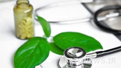 Four natural compounds to strengthen the immune system