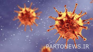 هوا، سریع ترین مسیر انتقال سویههای جدید کرونا