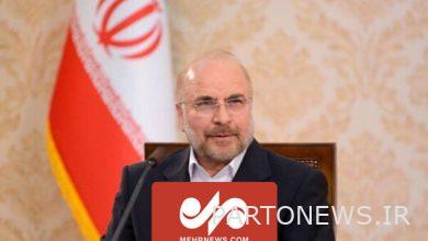 Intimate conversation of the Speaker with the coaches and members of the national freestyle wrestling team - Mehr News Agency |  Iran and world's news