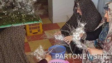 پرداخت وام اشتغال صندوق کارآفرینی امید در خراسان شمالی ۲.۵ برابر شد