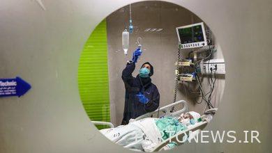 181 patients lost their lives overnight / Identification of 7515 new patients