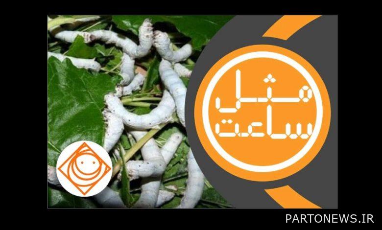 Investigating the challenges of "Noghandari" industry in Saba Radio - Mehr News Agency |  Iran and world's news