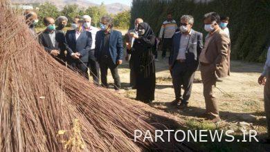 Inspectors of national and international cities and villages of the Ministry visit the pearl weaving art of Davijan village