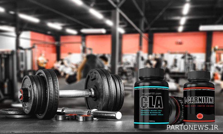 Should we eat CLA or L-carnitine?  (Difference between L-carnitine and CLA)