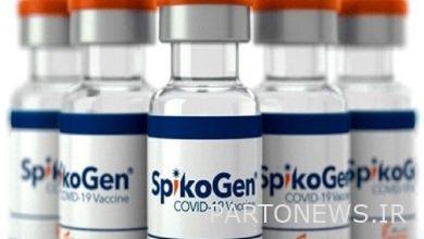 بدء حقن لقاح "Spicogen" في الدولة / تسليم 6 ملايين جرعة لقاح لوزارة الصحة