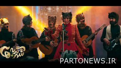 "City of Cats" is coming to cinemas this week + teaser