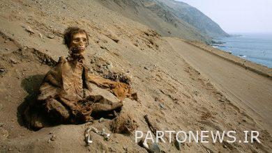زندگی مسالمت‌آمیز مردم چینچورو با مومیایی‌های 7هزارساله