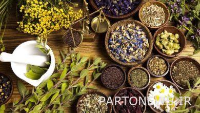 The scientific authority of Iran in the production of science in the field of traditional medicine will be announced