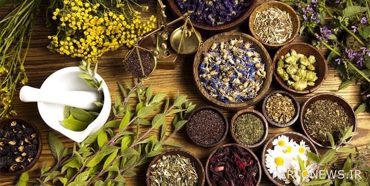 The scientific authority of Iran in the production of science in the field of traditional medicine will be announced