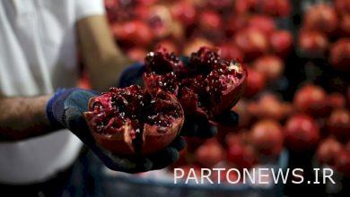 The second Mahallat Pomegranate Festival will be held in Khoreh village