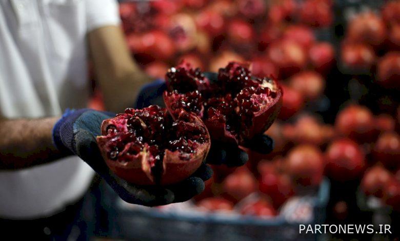 The second Mahallat Pomegranate Festival will be held in Khoreh village