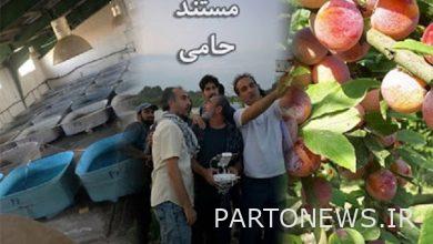 فيلم وثائقي "داعم" على شبكة اوفوغ - وكالة مهر للأنباء  إيران وأخبار العالم