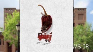 The show "Zepto" was a wonderful performance