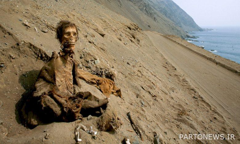 الحياة الهادئة لشعب تشينشورو مع مومياوات عمرها 7000 عام
