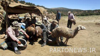 فادوش ، الطقوس التقليدية لشعب جولستان للمشاركة في تربية الحيوانات