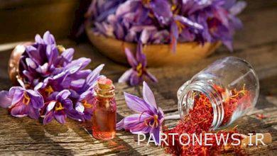 The Memorandum of Understanding on Agricultural Tourism is implemented in Robat Karim