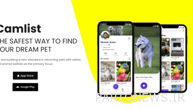 بازار ویدیوی حیوانات خانگی Camlist پس از جمع آوری 1.3 میلیون دلار سرمایه اولیه - TechCrunch به رشد بریتانیا چشم دوخته است.