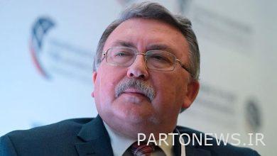 Ulyanov: Disputes can be resolved in Vienna