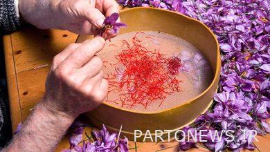 $ 60 million worth of saffron was exported