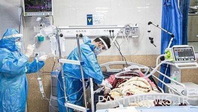 تم حقن أكثر من 119 مليون جرعة من اللقاح حتى الآن / فقد 45 مريضًا بكوفيد 19 حياة
