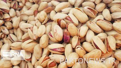 ایدههای برتر در زمینه پسته دامغان تجاریسازی میشود