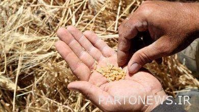 Unveiling of 7 research achievements in the agricultural sector