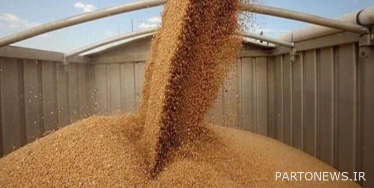 $ 13 reduction in wheat prices in world markets