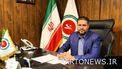 صدیقی: مسابقات کیک‌بوکسینگ یکی از برنامه‌های مهم پیش‌رو است