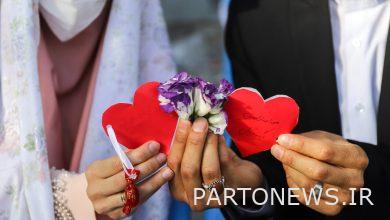 وكالة أنباء مهر: تشكيل مجموعات عمل متخصصة لتسهيل الزواج في بوشهر | إيران وأخبار العالم