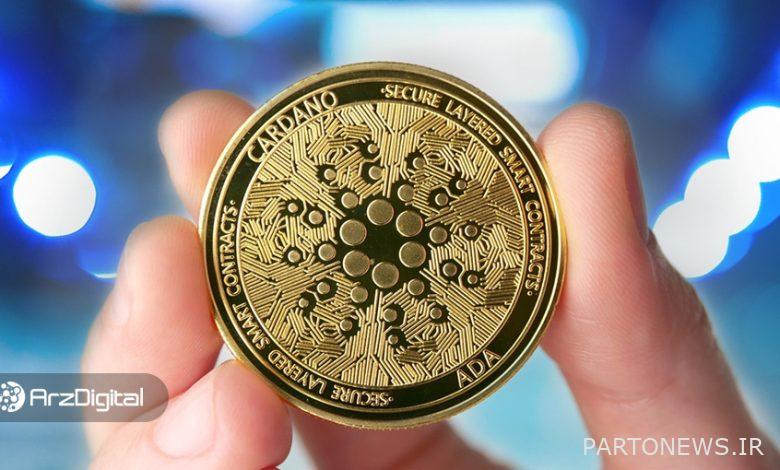 بیش از ۷۰ درصد از دارندگان کاردانو در ضرر هستند؛ کدام ارزها بهترین بازدهی را داشتهاند؟