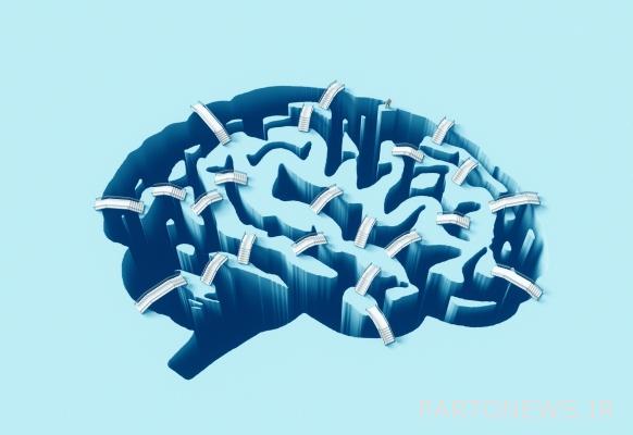 Z Fellows میخواهد 10 هزار دلار برای راهاندازی یک استارتآپ کریپتو - TechCrunch به شما بدهد