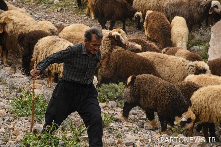 السياحة ، منصة جديدة لتوليد الدخل في قرى طهران