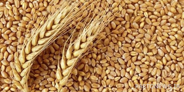 Zero to one hundred imported wheat suspected of illegal lead / wheat health confirmed