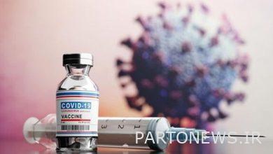 Confirmation of injection of the third dose of another Iranian vaccine / Spikogen increases sinofarm antibodies 25 times