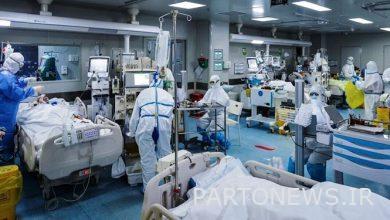 أدت الزيادة الكبيرة في أمراض الشريان التاجي / كوفيد 19 إلى مقتل 44 مريضاً آخرين