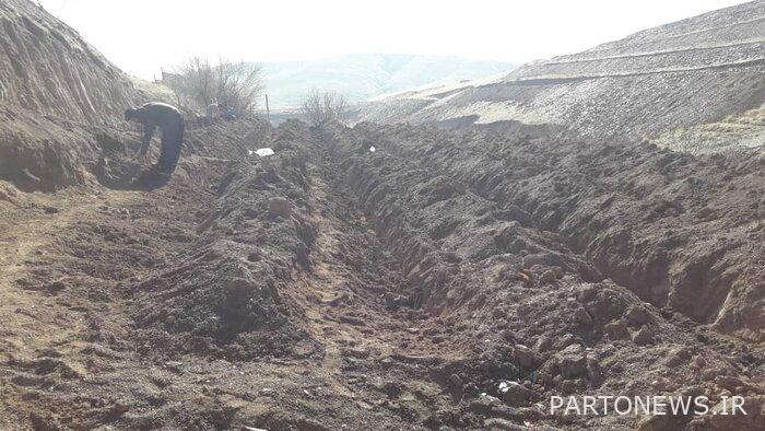 A flower that smells of bread