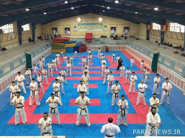 Activity of 15 free karate styles in Qom
