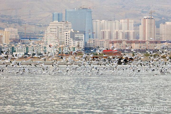 5 - Tourism, a new platform for income generation in the villages of Tehran Tourism, a new platform for income generation in the villages of Tehran