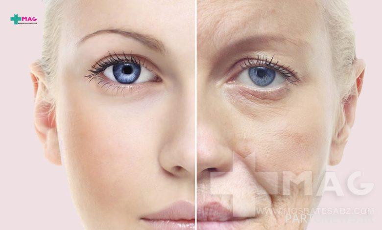Do Anti-Wrinkle Creams Really Reduce Skin Wrinkles?