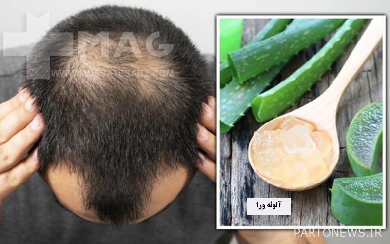 Aloe vera for hair