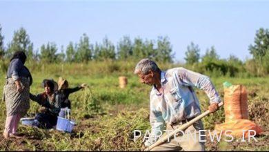 What harm has social assistance to the missing link in rural life / land reform done to the villagers?