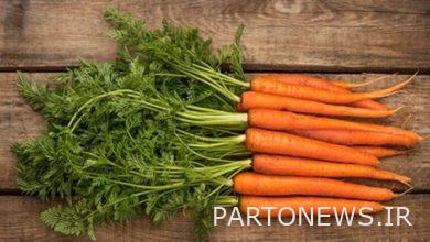 Lesser-heard properties of a delicious orange / Cancer prevention in a simple way