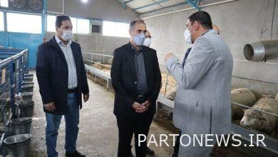 سازمان تامین اجتماعی از کارآفرینان کرمانشاه حمایت می‌کند