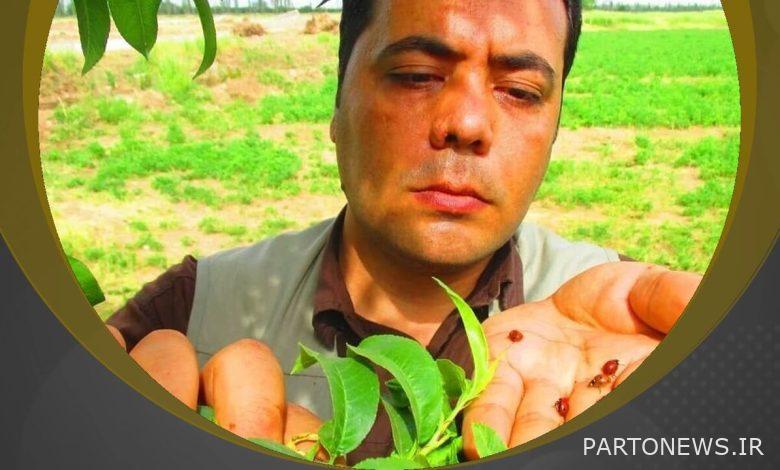 فیلم : پرورش حشرات تحت عنوان مشاغل خانگی